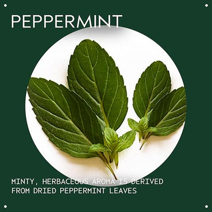 Aveda Peppermint Essential Oil + Base | Refreshing Aroma | for Body & Bath, 1 Fl Oz