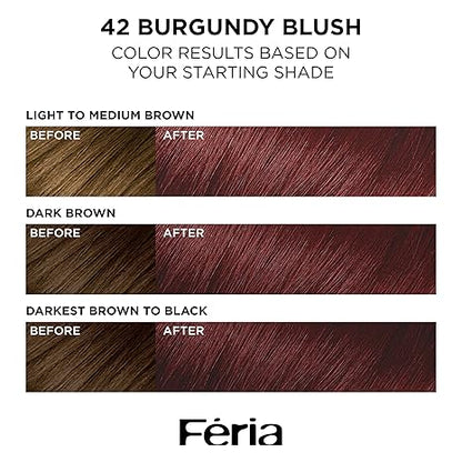 L’Oreal Paris Feria Multi-Faceted Shimmering Permanent Hair Color, High Intensity Hair Dye for 3X Highlights, 42 Burgundy Blush, 1 Hair Dye Kit (Pack of 2)