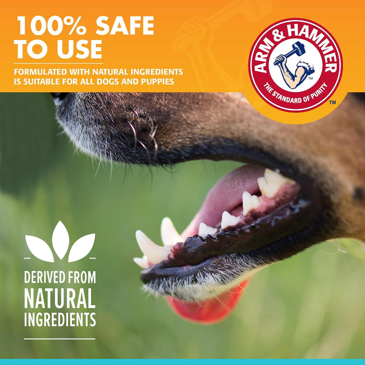 Arm & Hammer, Enzymatic Dog Toothpaste, Vanilla Ginger, 2.5 oz, 72 Pack