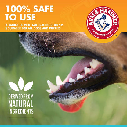 Arm & Hammer, Enzymatic Dog Toothpaste, Vanilla Ginger, 2.5 oz, 72 Pack
