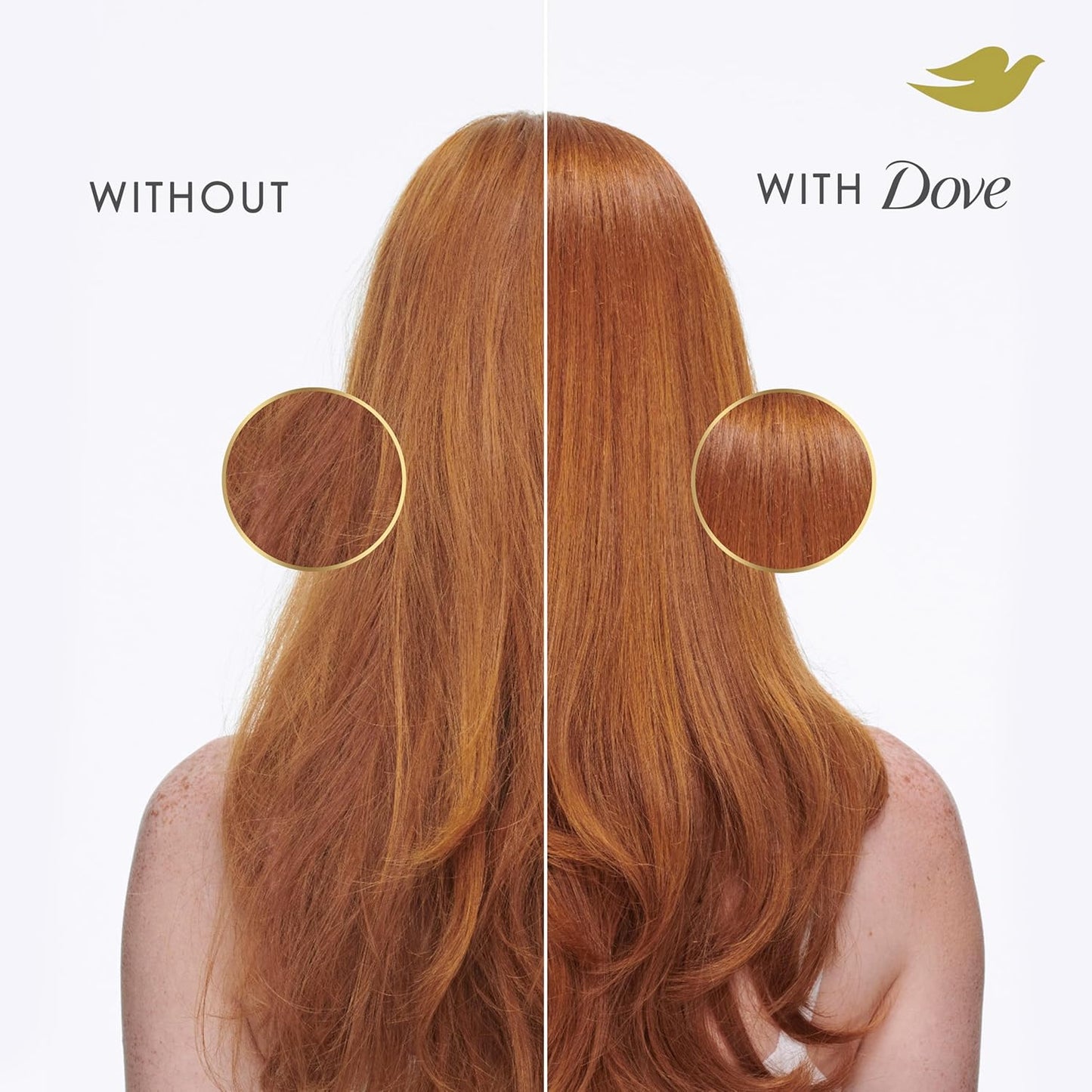 Dove Shampoo 4 count Intensive Repair for Damaged Hair with Bio-Protein Care Technology and Amino Serum 12 Fl Oz