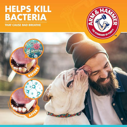 Arm & Hammer, Enzymatic Dog Toothpaste, Chicken Flavor, 2.5 oz, 72 Pack