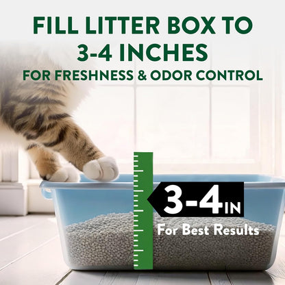 ARM & Hammer Plant Power Plant-Based Clumping Cat Litter, Unscented 15 Lbs