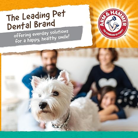 Arm & Hammer Super Treadz Gorilla Dental Dog Chew Toy, Large