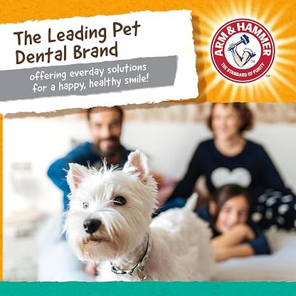 Arm & Hammer Super Treadz Gorilla Dental Dog Chew Toy, Large