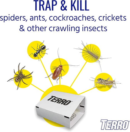 TERRO Spider & Insect Trap T3206 Sticky Glue Traps for Roaches, Spiders, Ants, Cockroaches, Crickets - Indoor Bug Catcher Pest Control Traps, 4.25 in in (Pack of 120)