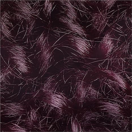 L’Oréal Paris Le Color Gloss One Step In-Shower Toning Hair Gloss, Neutralizes Brass, Conditions & Boosts Shine, Iridescent Plum Purple, 4 Ounce