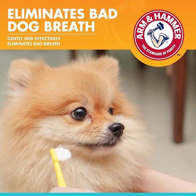 Arm & Hammer, Enzymatic Dog Toothpaste, Chicken Flavor, 2.5 oz, 72 Pack