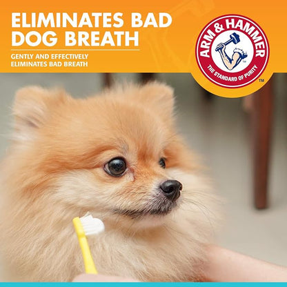 Arm & Hammer, Enzymatic Dog Toothpaste, Chicken Flavor, 2.5 oz, 72 Pack