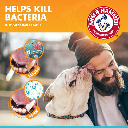 Arm & Hammer, Enzymatic Dog Toothpaste, Vanilla Ginger, 2.5 oz, 72 Pack