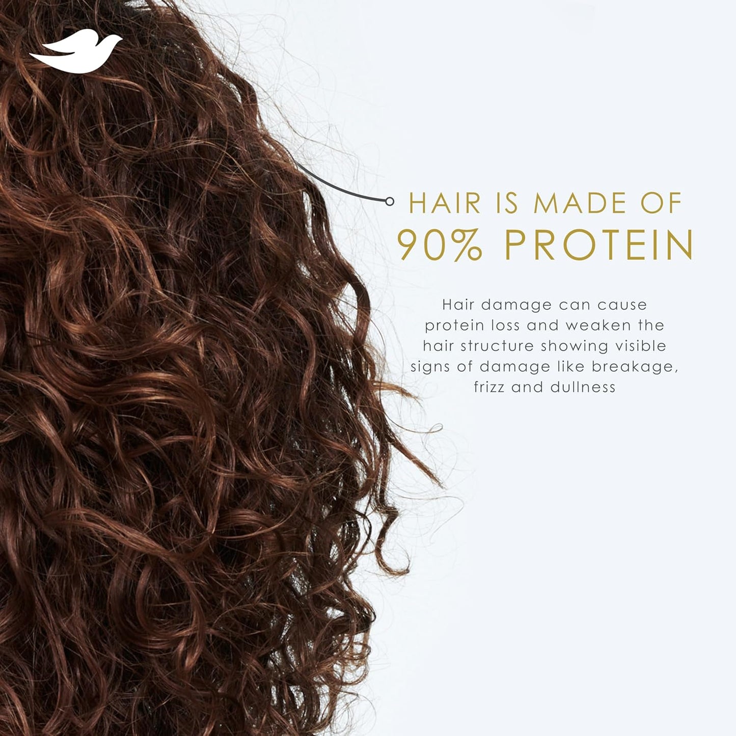 Dove Shampoo Argan Oil & Repair for Fine Hair with Bio-Protein Care Technology and Argan Oil Blend 12 Fl Oz,(Pack of 2)