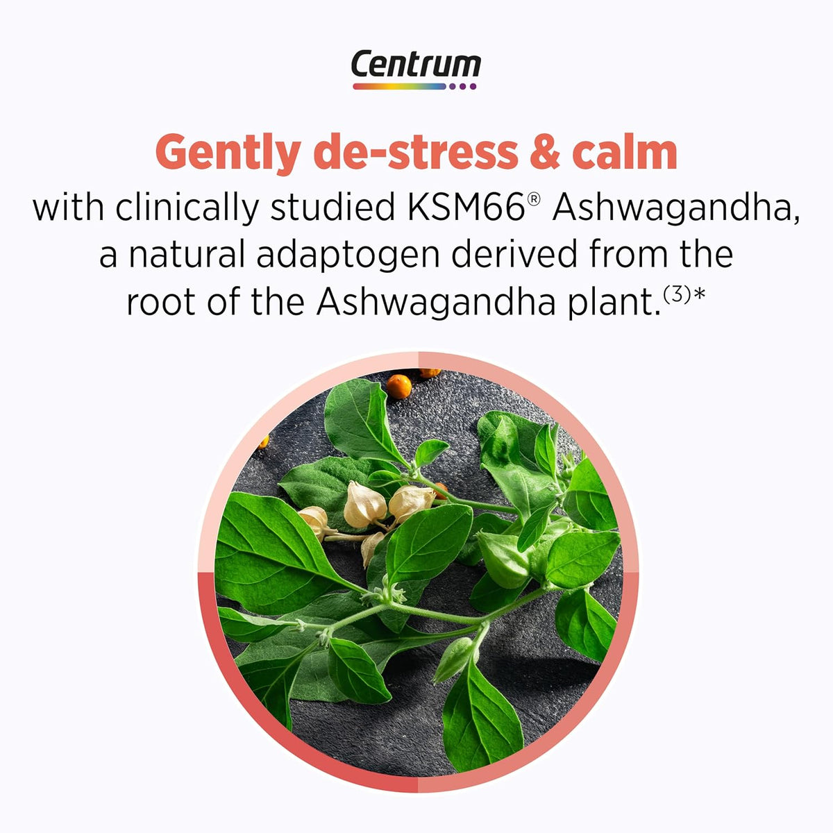 Centrum Clear Mind and Calm Mood Menopause Support Tablets, 30 Count