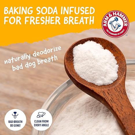 Arm & Hammer Nubbies Gator Dog Dental Chew Toy, Mint Flavor, 2-Pack