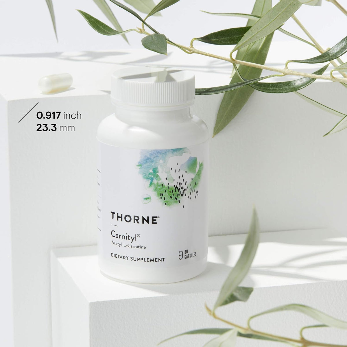THORNE - Antioxidant Nerve Support Duo - Alpha-Lipoic Acid & Acetyl-L-Carnitine Bundle - 60 Servings