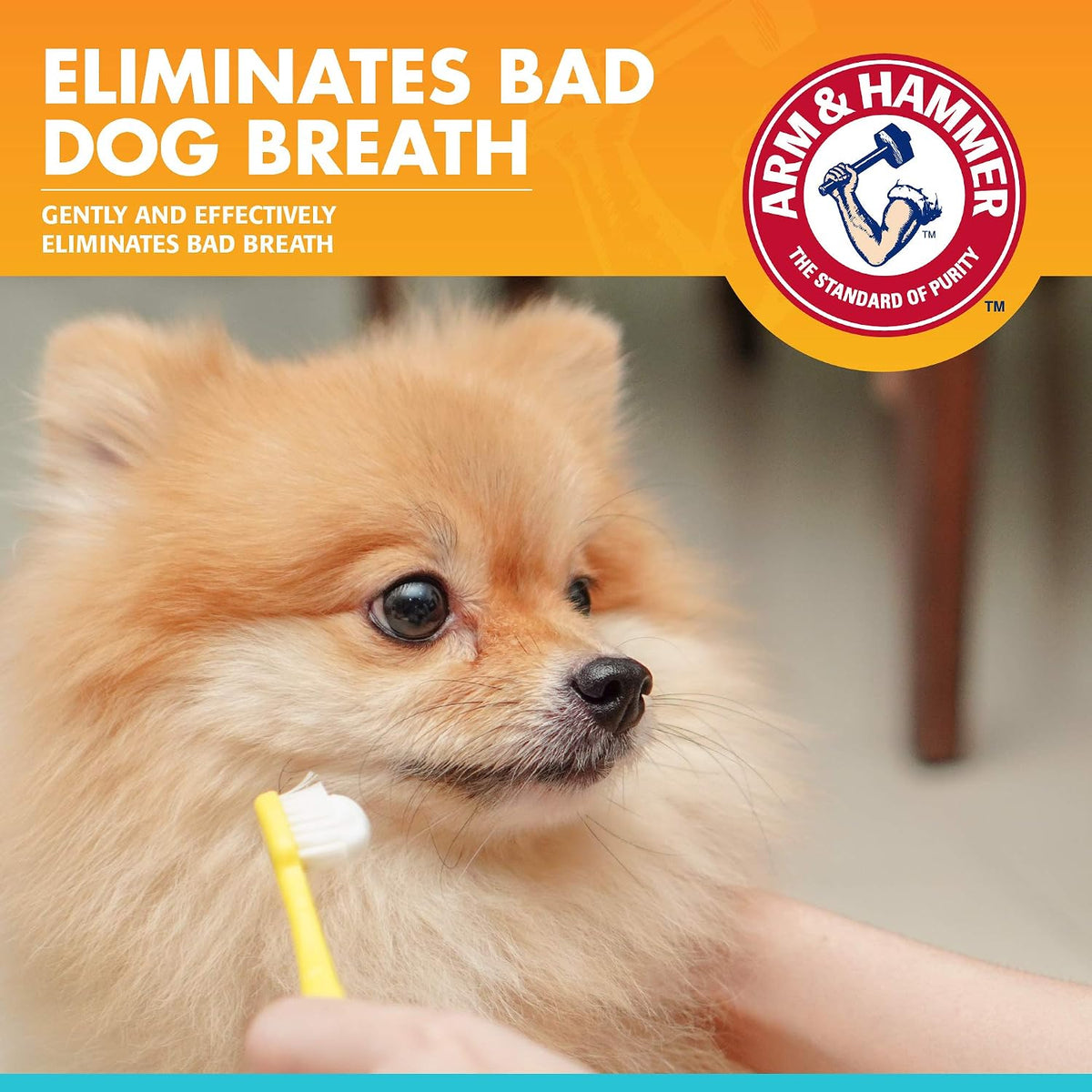 Arm & Hammer, Enzymatic Dog Toothpaste, Vanilla Ginger, 2.5 oz, 72 Pack