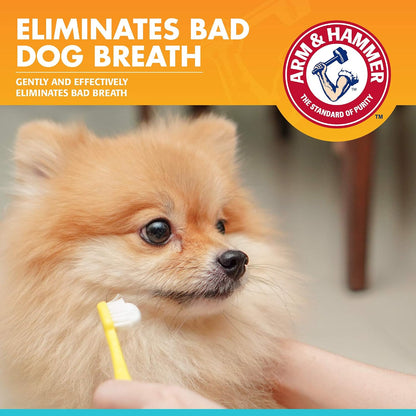 Arm & Hammer, Enzymatic Dog Toothpaste, Vanilla Ginger, 2.5 oz, 72 Pack