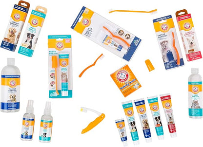 Arm & Hammer, Enzymatic Dog Toothpaste, Chicken Flavor, 2.5 oz, 72 Pack