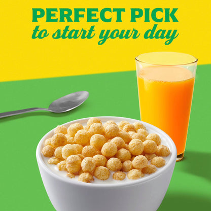 Mott's Apple Cinnamon Cereal, Made with Apple Puree, Whole Grain, Family Size, 20.8 oz