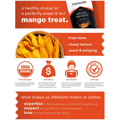 Terrasoul Superfoods Organic Dried Mango Slices, 3 Lbs (1 Lb 3-Pack) - Naturally Sweet & Tart | No-Added Sugar | Healthy Prebiotic