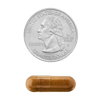 Spring Valley Maca Dietary Supplement Vegetarian Capsules for General Wellness, 500 mg, 90 Count