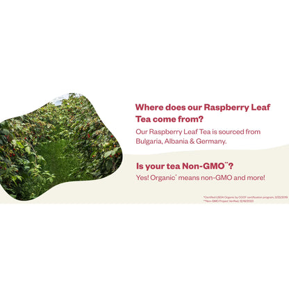 FGO Raspberry Leaf Tea, Organic, Eco-Conscious Tea Bags (100 Count)