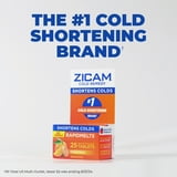 Zicam Cold Remedy Cold Shortening Medicated Nasal Swabs Zinc-Free, 20 Count