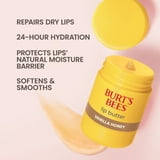 Burt's Bees Lip Butter Balm, Vanilla Honey