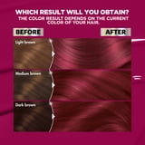 Garnier Nutrisse Ultra Color Hair Color Tool Kit, Permenant Hair Dye, RP1 Cherry Flamingo