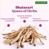 BetterAlt SHE-Lajit Strawberry Honeysticks, 45 ct.