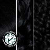 Garnier Nutrisse Nourishing Hair Color Creme, 11 Blackest Black, 1 Kit