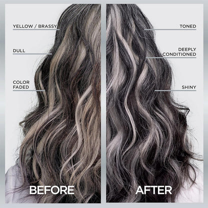 L’Oreal Paris Le Color Gloss One Step Toning Gloss, In-Shower Hair Toner with Deep Conditioning Treatment Formula for Gray Hair, Silver Slate, 1 Kit