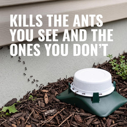 TERRO T1804SR Outdoor Ready-to-Use Liquid Ant Bait Killer and Trap - Kills Common Household Ants - 8 Bait Stations