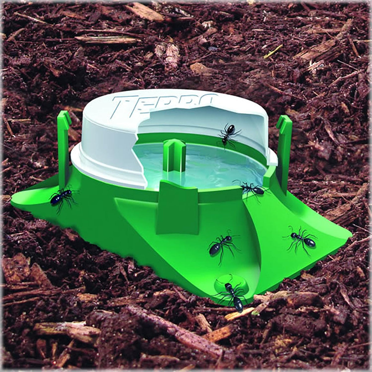 TERRO Outdoor Liquid Ant Bait Stations, 12-Pack
