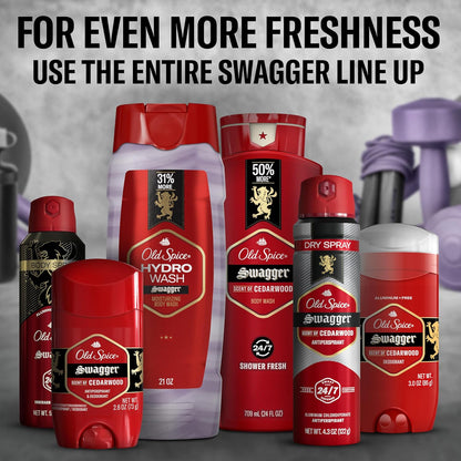 Old Spice Moisturizing Body Wash for Men, Hydro Wash, 2-in-1 Long Lasting Scent & Deep Hydration, 24/7 Shower Fresh, Swagger Scent, 21 oz,2 Count (Pack of 2)