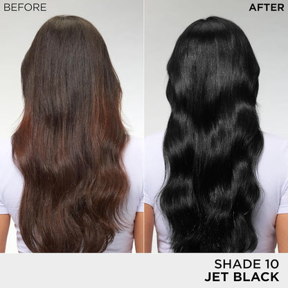 L'Oreal Paris Feria Multi-Faceted Shimmering Permanent Hair Color, High Intensity Hair Dye for 3X Highlights, 10 Jet Black, 1 Kit (Pack of 2)