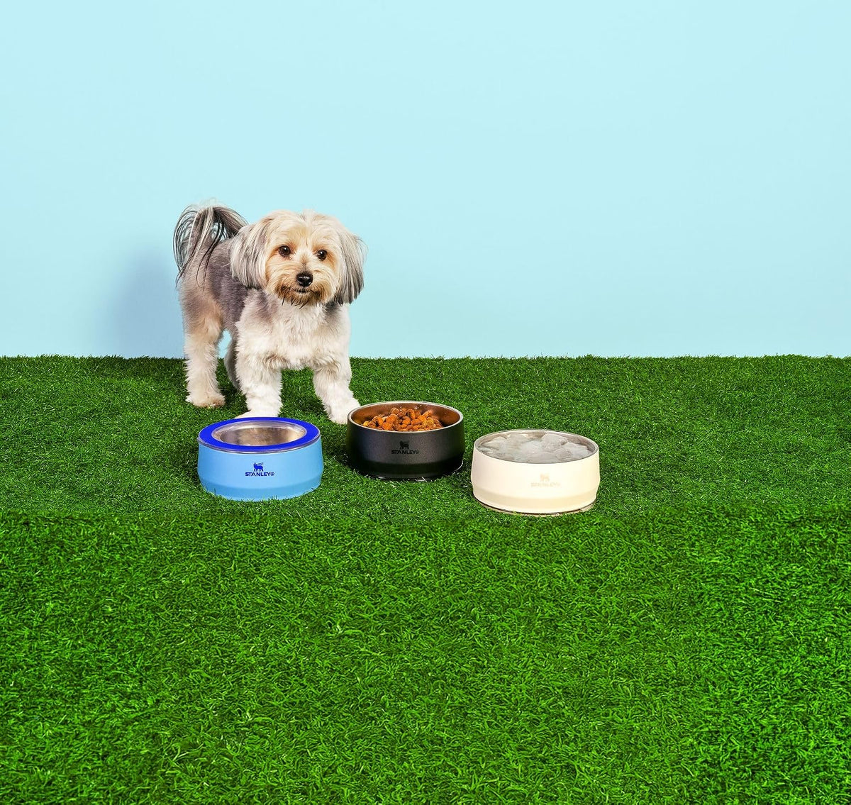 STANLEY Pet Bowl | 3-Cup (24 oz) Insulated Stainless Steel Dog & Cat Bowl | Splash-Resistant Lid | Dishwasher Safe | BPA-Free | Black 2.0