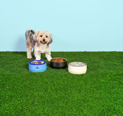 STANLEY Pet Bowl | 3-Cup (24 oz) Insulated Stainless Steel Dog & Cat Bowl | Splash-Resistant Lid | Dishwasher Safe | BPA-Free | Black 2.0
