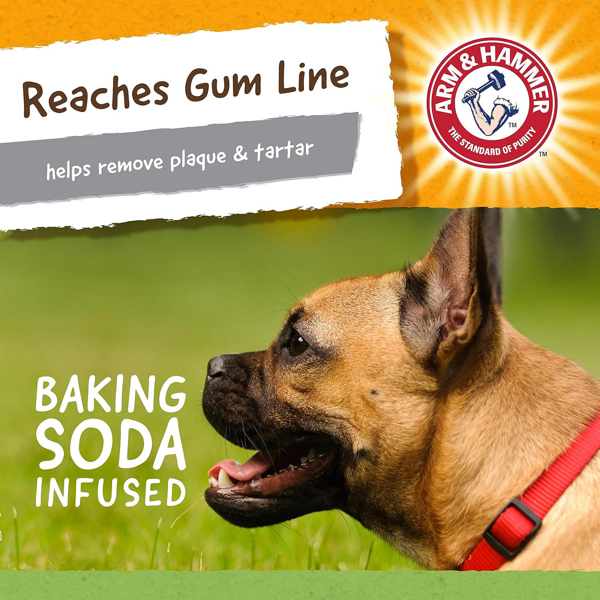 Arm & Hammer for Pets Nubbies Dental Toys T-Rex Dental Chew Toy for Dogs Best Dog Chew Toy for Moderate Chewers Reduces Plaque & Tartar Buildup Without Brushing, Mint Flavor (Pack of 2)