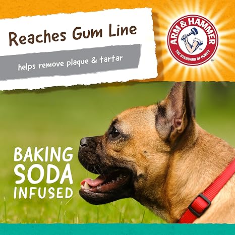 Arm & Hammer Super Treadz Gorilla Dental Dog Chew Toy, Large
