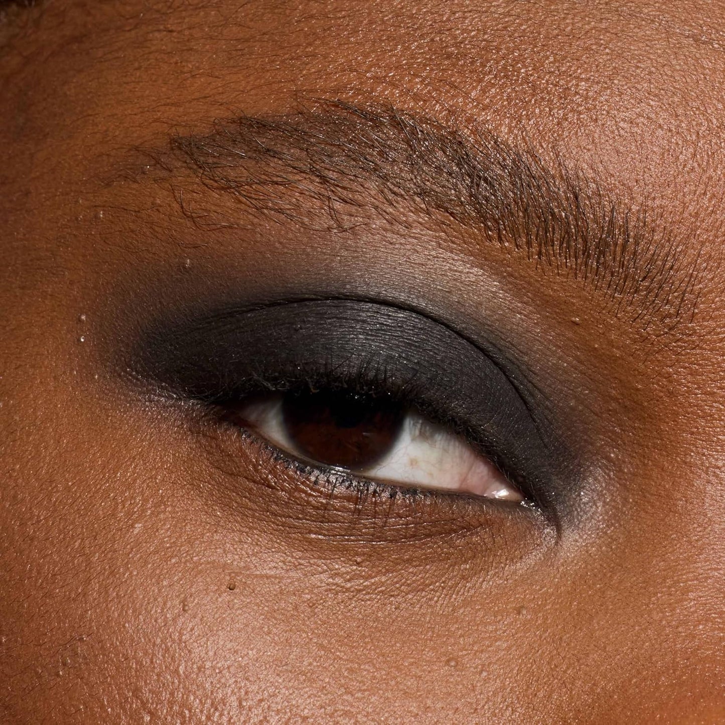 L'Oreal Paris Makeup Le Shadow Stick Eyeshadow, Blendable, Smudge-Resistant, Smokey Cream Eyeshadow, 490 All Night Black