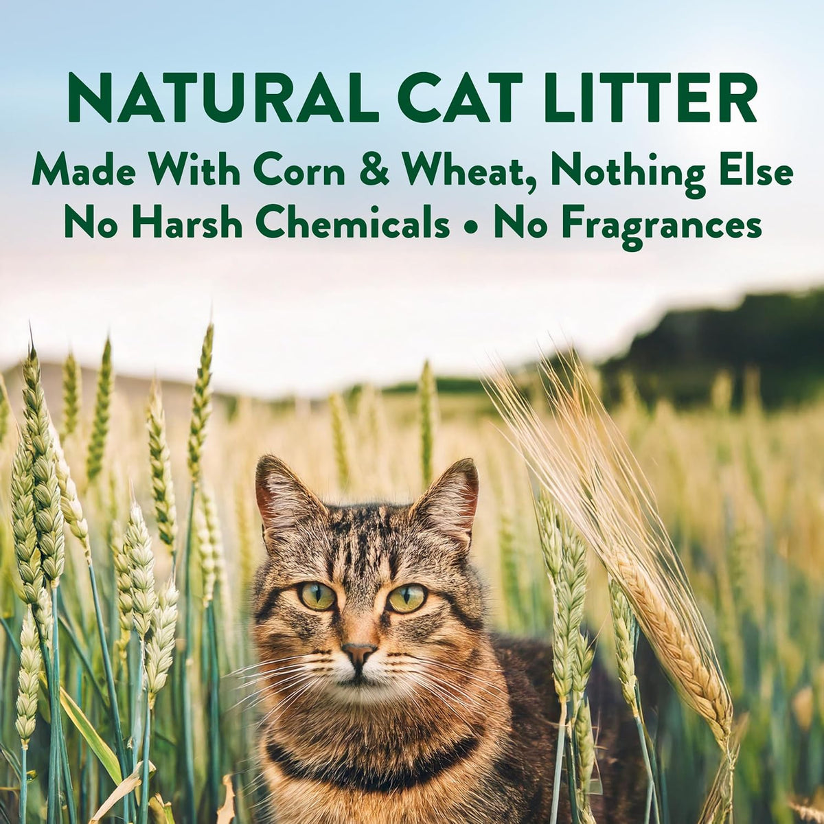 ARM & Hammer Plant Power Plant-Based Clumping Cat Litter, Unscented 15 Lbs
