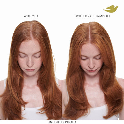 Dove Dry Shampoo Spray, Volume & Fullness, Absorbs Oil to Refresh Hair Without Washing, 5 oz (2-Pack)