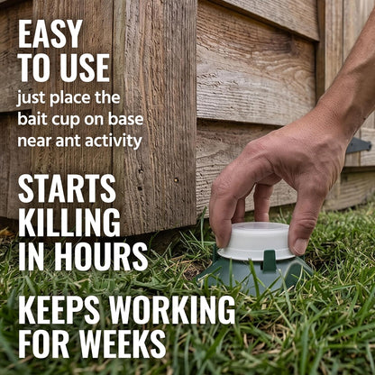 TERRO T1804SR Outdoor Ready-to-Use Liquid Ant Bait Killer and Trap - Kills Common Household Ants - 8 Bait Stations