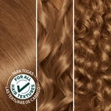 Garnier Nutrisse Nourishing Adult Hair Color Creme, 063 Light Golden Brown Brown Sugar