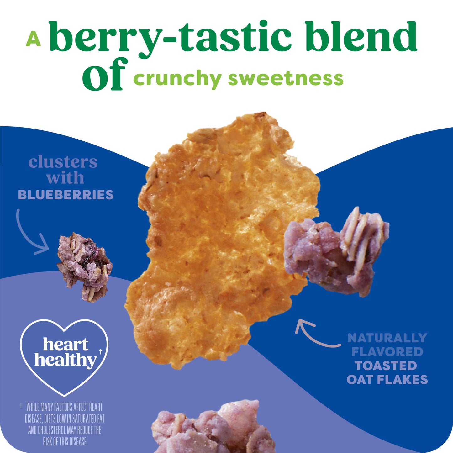 Kashi Blueberry Clusters Breakfast Cereal Box, 17.2 oz