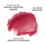 Burt's Bees Natural Origin Moisturizing Lip Balm Value Pack, Pomegranate, 2 Tubes