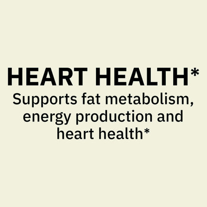 Spring Valley L Carnitine Amino Acid Dietary Supplement Tablets for Heart Health, 500 mg, 30 Count