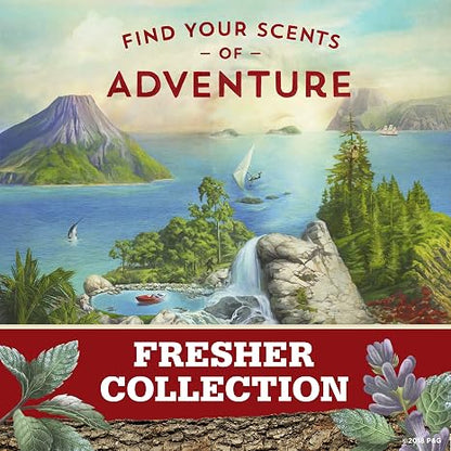 Old Spice Antiperspirant Deodorant for Men, Timber With Sandalwood, Inspired by Natural Elements, Invisible Solid, 2.6 Oz, Pack of 12