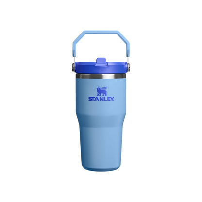 STANLEY IceFlow 2.0 Flip Straw Tumbler, 20 oz, Blue Sky