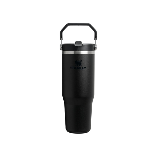 STANLEY IceFlow 2.0 Flip Straw Tumbler, 30 oz, Black 2.0